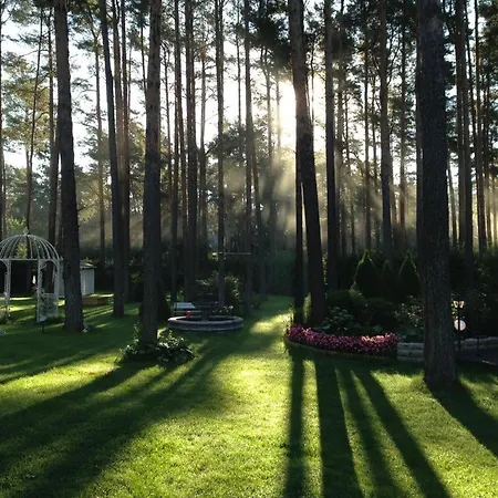 Muusa With A Cozy Sauna, Swimming Pool And Large Beautiful Garden Вілла *