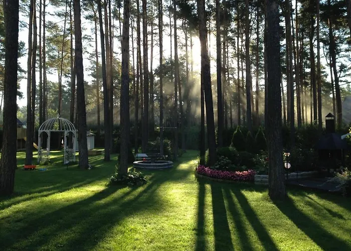 Muusa With A Cozy Sauna, Swimming Pool And Large Beautiful Garden 빌라 *