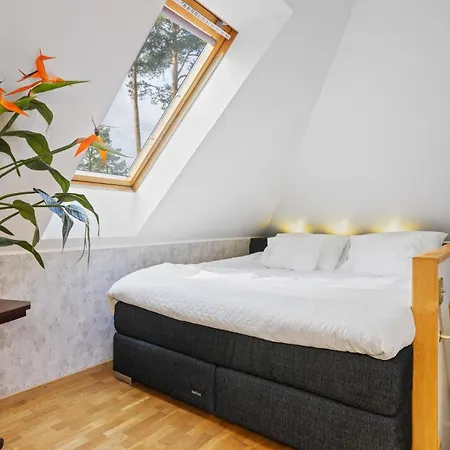 Villa Muusa With A Cozy Sauna, Swimming Pool And Large Beautiful Garden